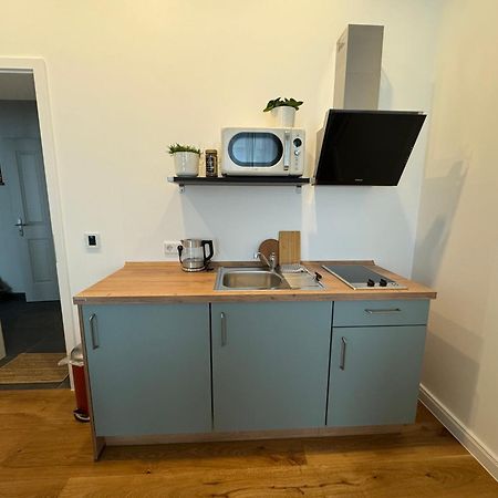 Boutique Hotel Pension Luisengruen Kueche 1Gbs Wlan Netflix Disney Magentatv Κέμνιτς Εξωτερικό φωτογραφία